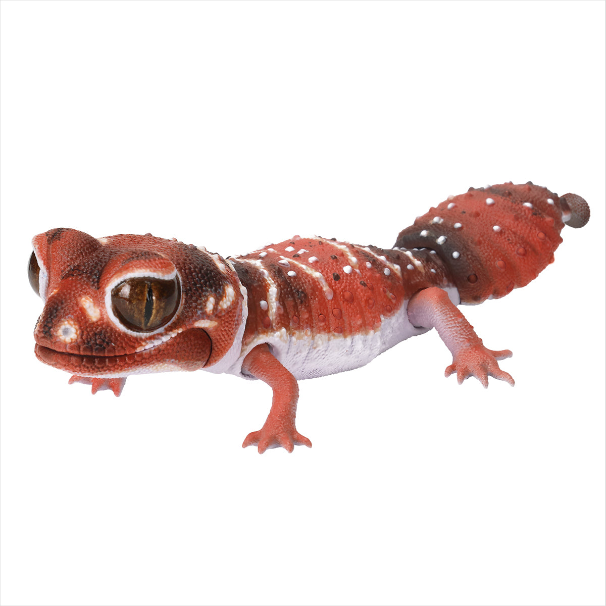 Namehada Tamao gecko (red)