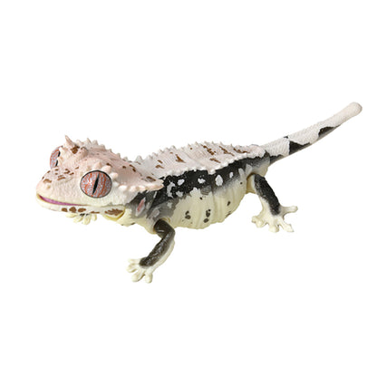Crested Gecko Lily White