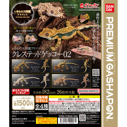 Creature Encyclopedia Advance Crested Gecko 02